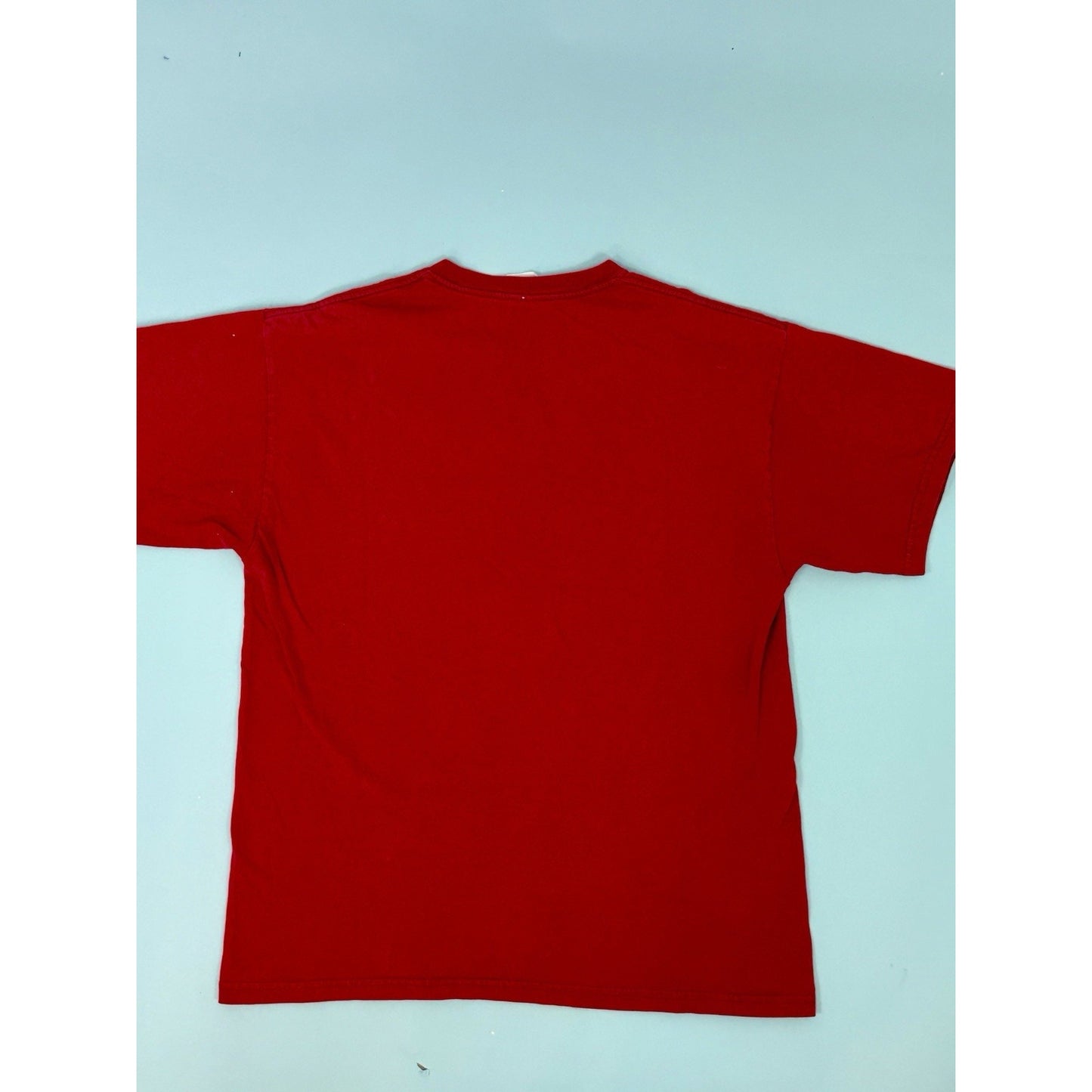 Vintage 90s Nashville Eagle Nature Wrap Around T Shirt Size Large Single Stitch