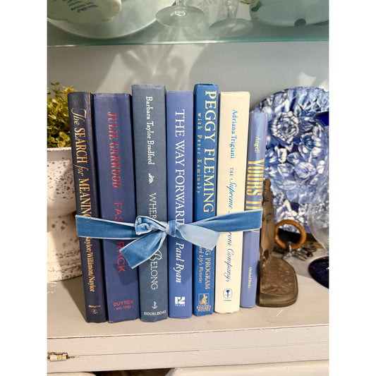 Vintage ombré effect blue Decorative Book collection