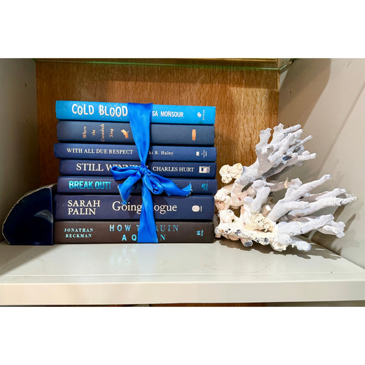 Vintage ombré effect blue Decorative Book collection