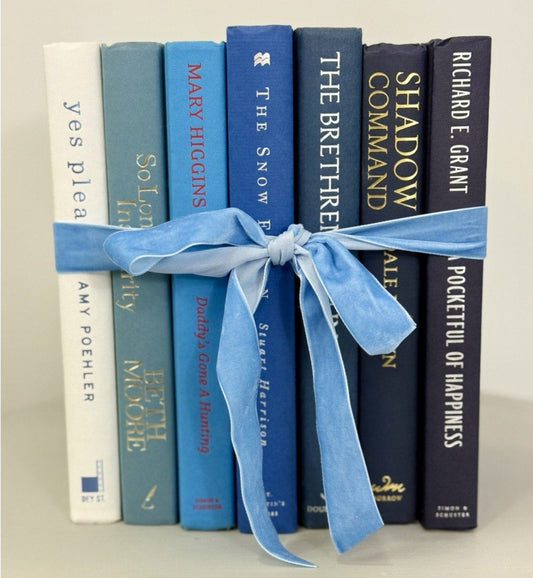 Vintage ombré effect blue Decorative Book collection